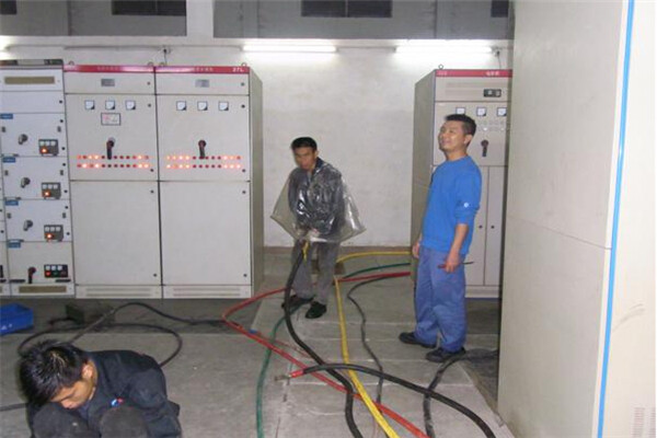 廣東清遠某生物科技公司租賃發(fā)電機
